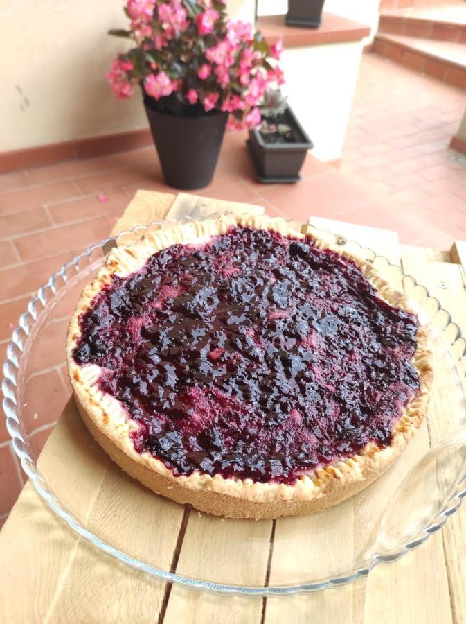 马萨马里蒂马Sonnellino In Maremma别墅 外观 照片