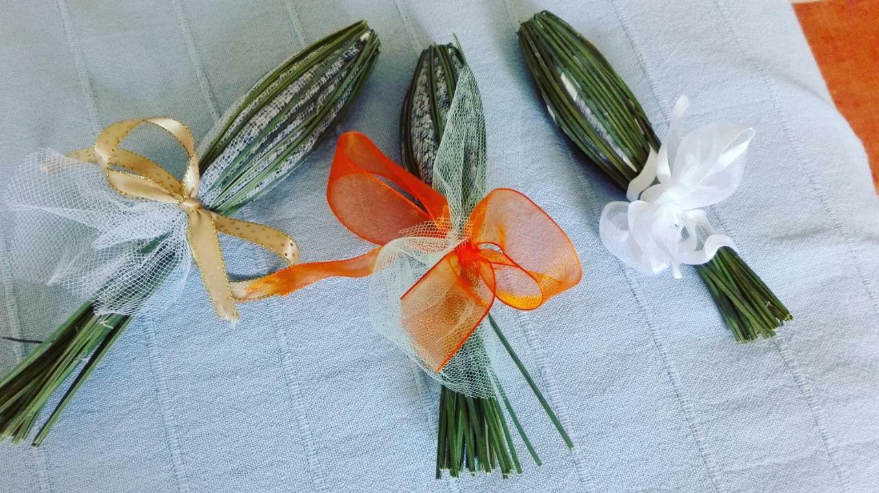 马萨马里蒂马Sonnellino In Maremma别墅 外观 照片